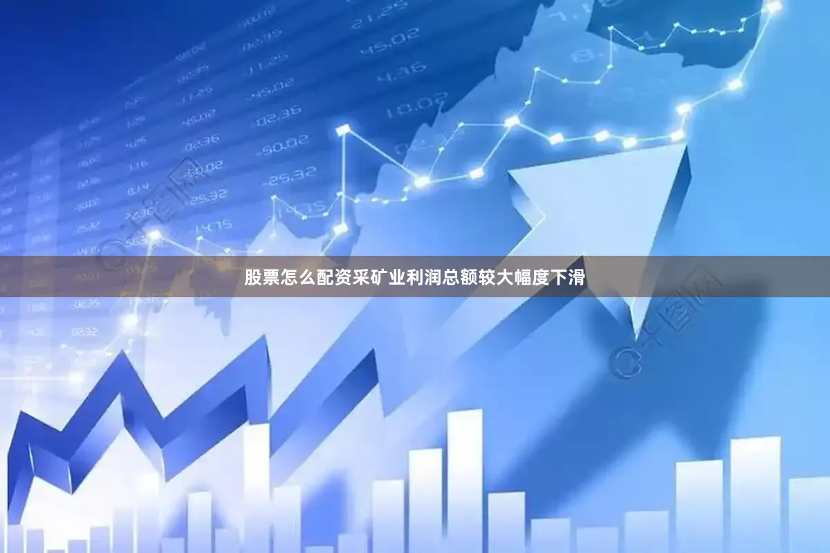 股票怎么配资采矿业利润总额较大幅度下滑
