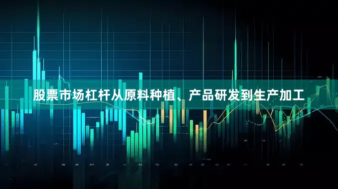 股票市场杠杆从原料种植、产品研发到生产加工